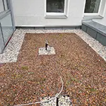 Dachbegrünung